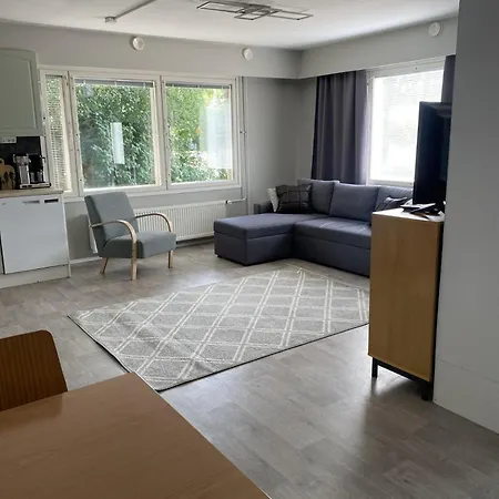 公寓 Viihtyisae Esteetoen Saunallinen Asunto Entisellae Paloasemalla *